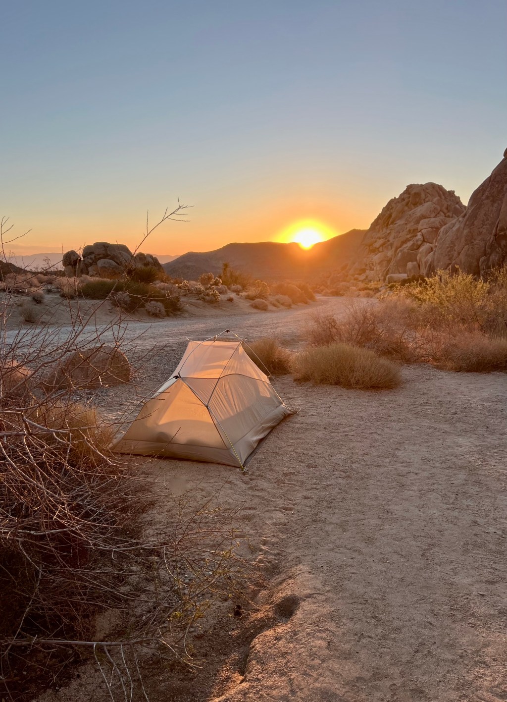 Camping in Joshua Tree: Best Hikes and&nbsp;Stargazing