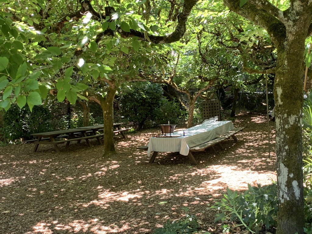 The Real Napa Valley: A Culinary&nbsp;Adventure