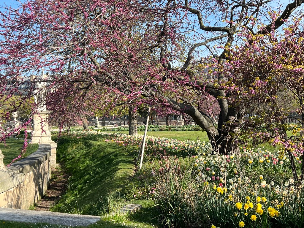 A Week in Paris: Must-See Sights and Local Gems